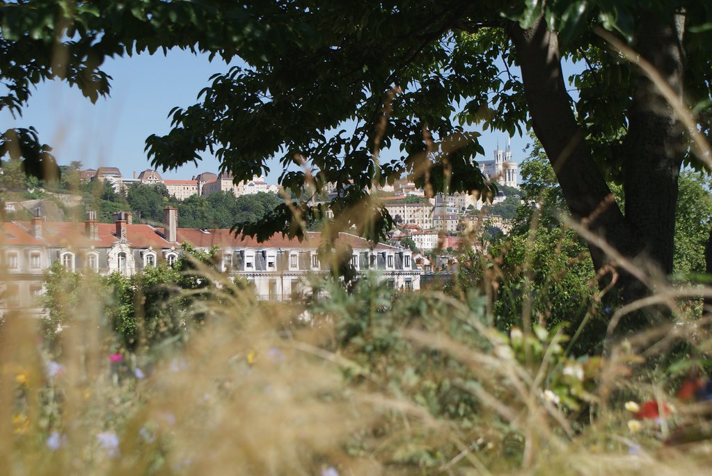 Potagers et toits végétalisés sur la gare routière de Perrache à Lyon.