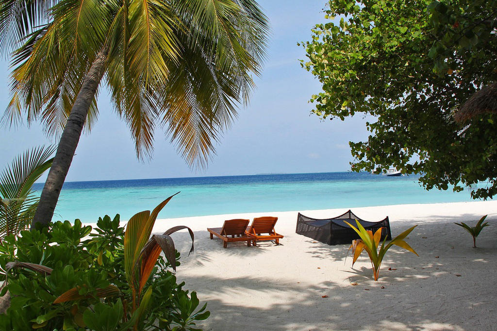 Carte postale des Maldives avec plage et cocotiers.