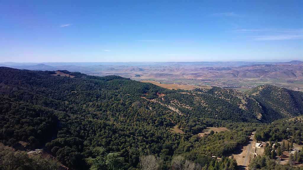 Parc national d'Ifrane au Maroc. Photo de zoumaxx2 - Licence ccbysa 4.0