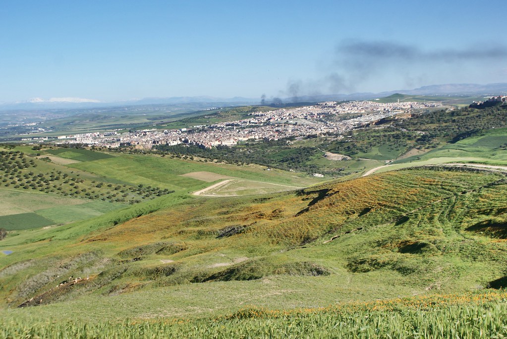 Vue sur la Médina de Fès depuis les collines environnantes.