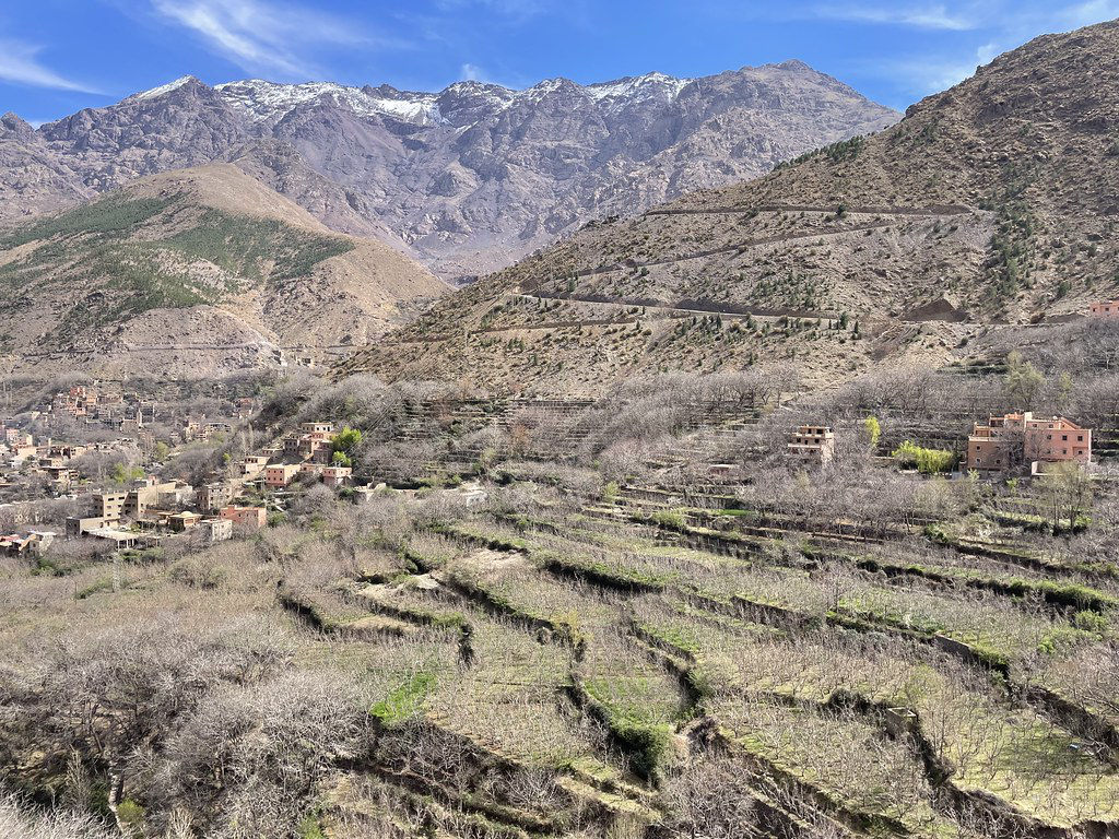 Terrasses autour d'Imlil avec pommiers, cerisiers et noyers.