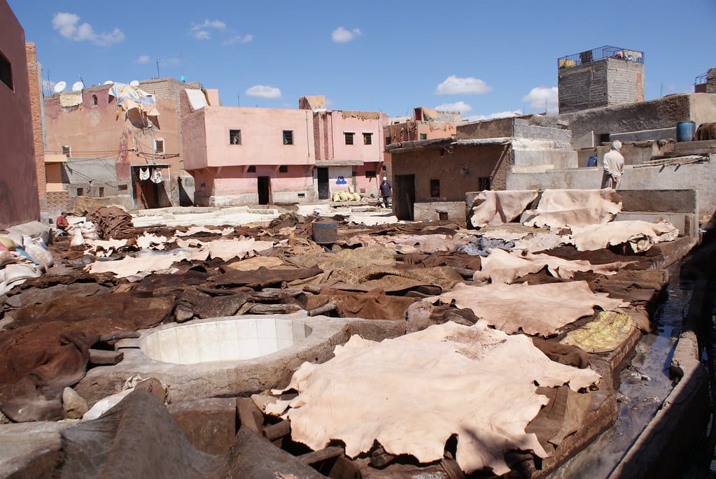 Les peaux sèches aux soleil entre plusieurs bains dans la tannerie de Marrakech.