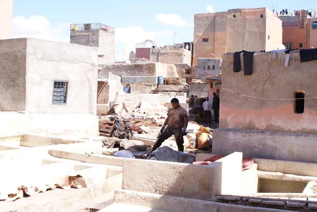 Ouvrier des tanneries à Marrakech au Maroc.
