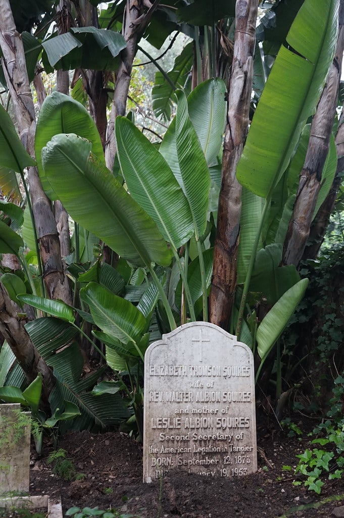 Dans le cimetière de St Andrew à Tanger.