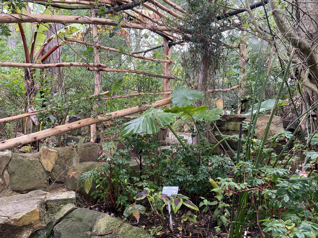 Dans le jardin botanique Donabo à Tanger.