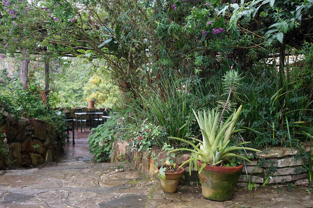 Dans le jardin botanique Donabo à Tanger.