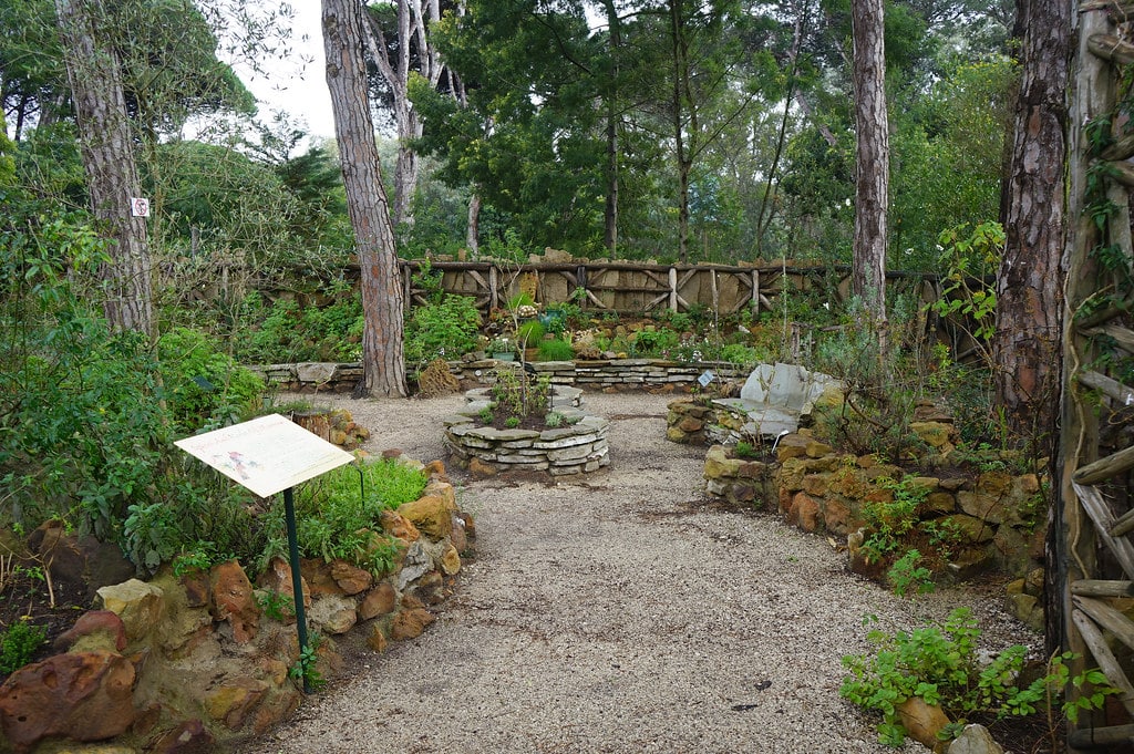 Dans le jardin botanique Donabo à Tanger.