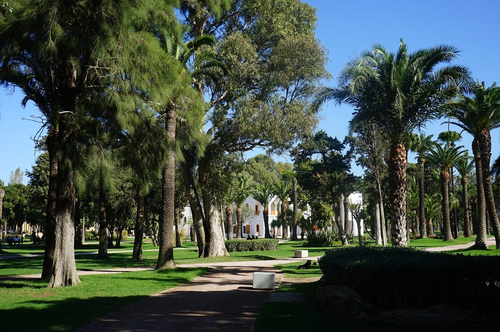 Lire la suite à propos de l’article 10 Plus beaux espaces verts de Tanger : Parcs, jardins et forêts