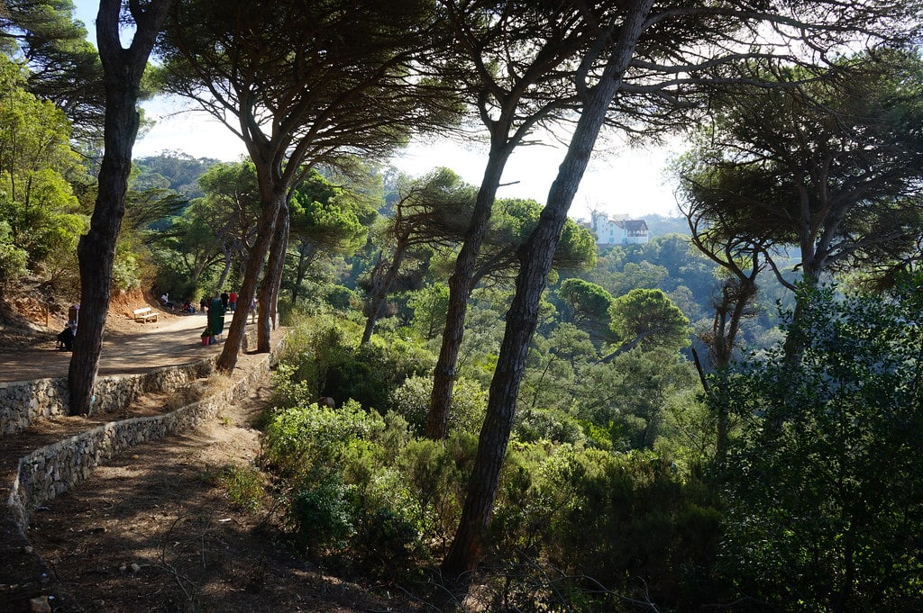 Vue sur la Villa-musée depuis le belvedere du parc Perdicaris à Tanger.