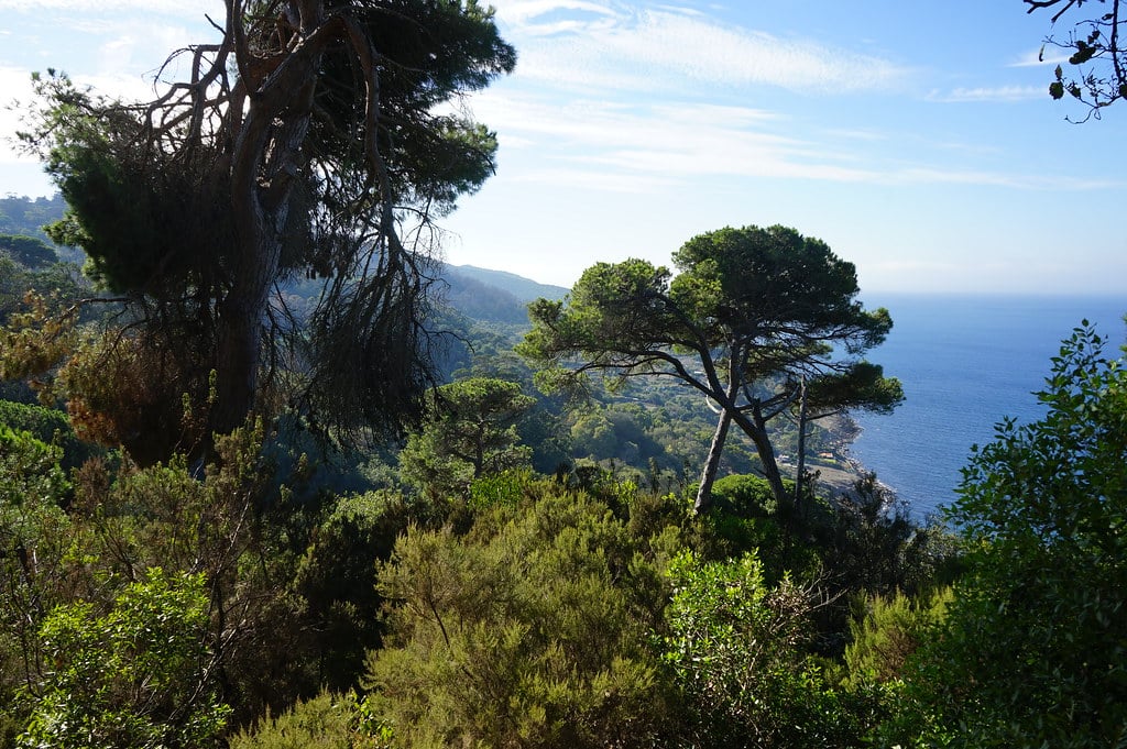 Vue sur la mer/océan depuis le Parc Perdicaris à Tanger.