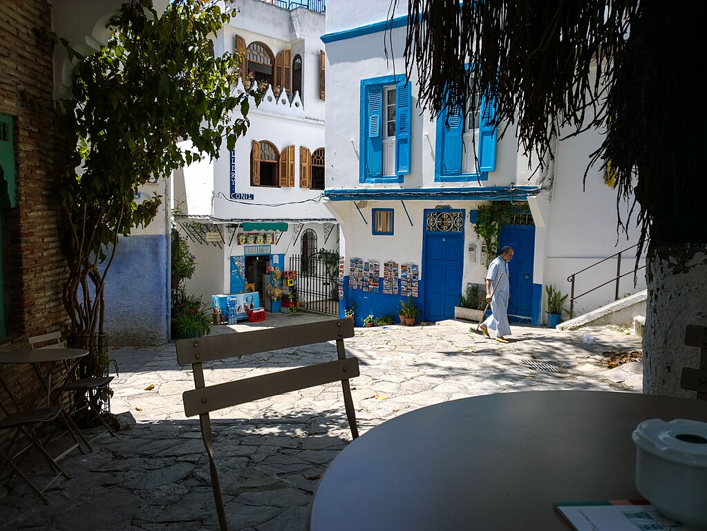 Café du quartier de la kasbah sous un ficus macrophyllia géant - Photo de Paigeproduction2012 - Licence ccbysa20