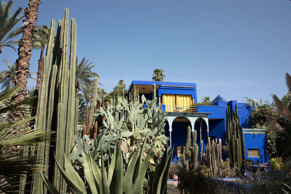 Jardin de Majorelle dans le quartier du Guéliz à Marrakech - Photo d'Edward Hart