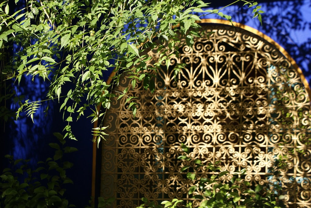 Le contraste magique entre le bleu Majorelle, le jaune et la végétation du jardin Majorelle à Marrakech.