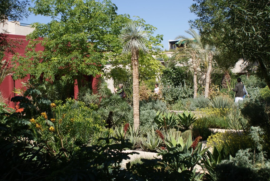 Jardin exotique dans le Jardin secret de la Médina à Marrakech.