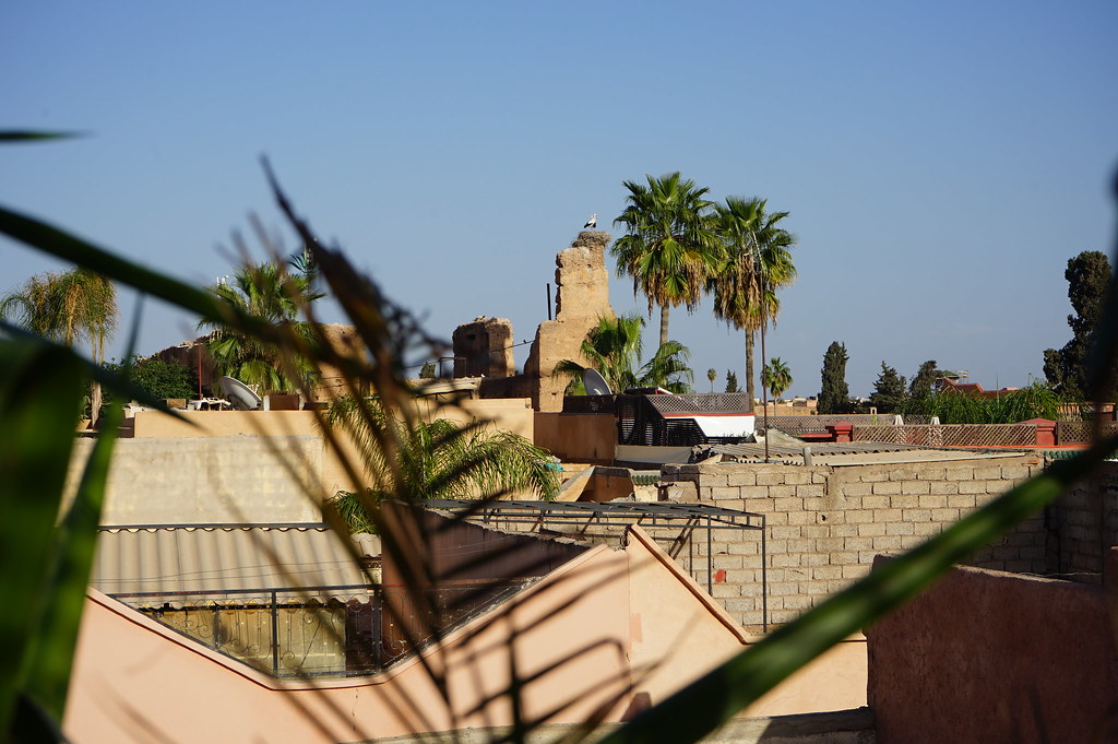 Vue sur les nids de cigogne du Palais el Badiî depuis le café.