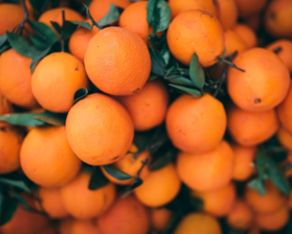 Oranges à Marrakech - Photo de Taryn Elliot