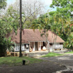 9 attractions originales de la Martinique : une exploration élégante et plurielle