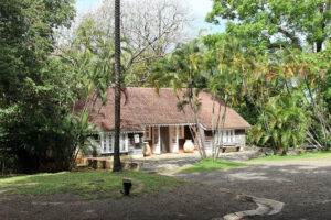 9 attractions originales de la Martinique : une exploration élégante et plurielle