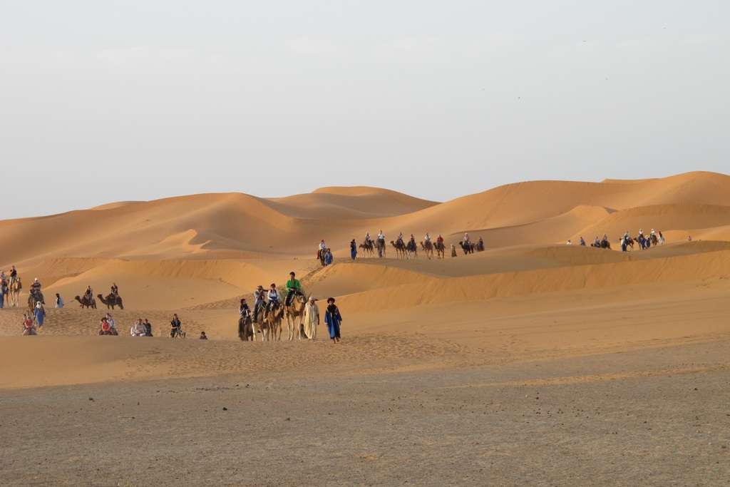 En file indienne en dromadaire dans le désert de Merzouga.