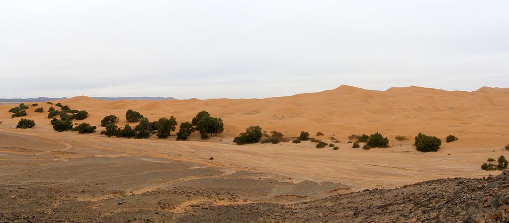 Transition entre le désert de pierre (reg) et le désert de sable (erg) à Merzouga - Photo de User-China_Crisis - Licence ccbysa 2.5