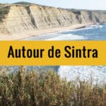 Autour de Sintra : Pinède, plages et falaises !