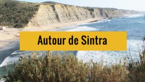 Autour de Sintra : Pinède, plages et falaises !