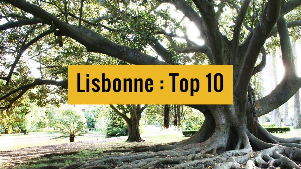 Top 10 de Lisbonne sur Youtube.