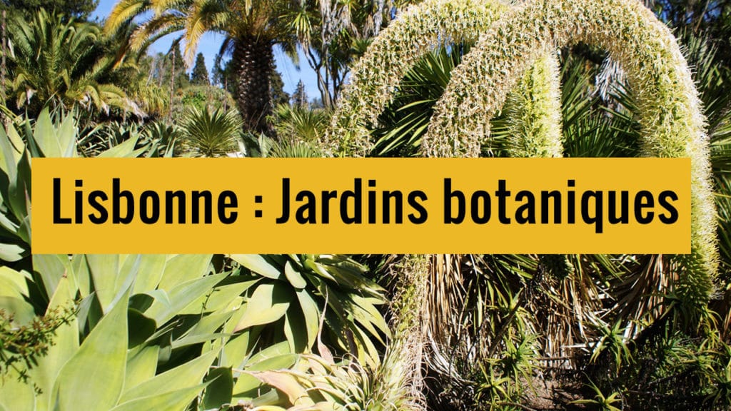 Jardins botaniques de Lisbonne sur Youtube.