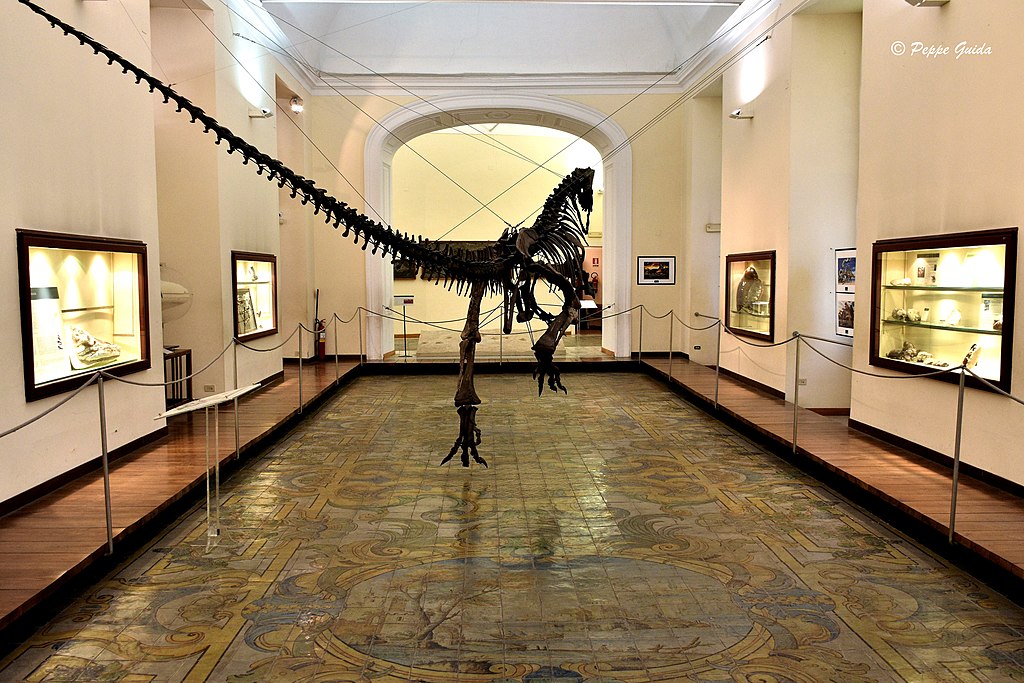 Dans le Musee de Paleontologie de Naples - Photo de Giuseppe Guida - Licence ccbysa 4.0