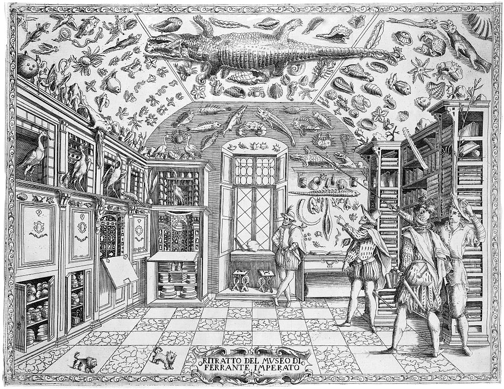 Cabinet de curiosités Ferrante Imperato à Naples - Image de Wellcome - Licence ccbysa 4.0