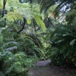 Jardin botanique de Naples : Superbe et gratuit [San Carlo all’Arena]