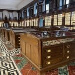 Insolites ! Musées universitaires à Naples : Minéralogie, zoologie, ethnologie…