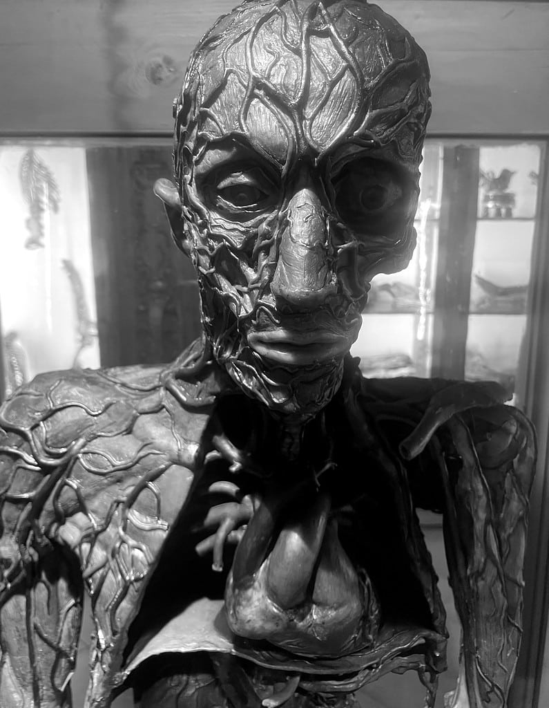 Face à face au Musée d'anatomie de Naples.
