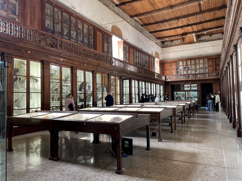 Dans le musée zoologique de Naples.