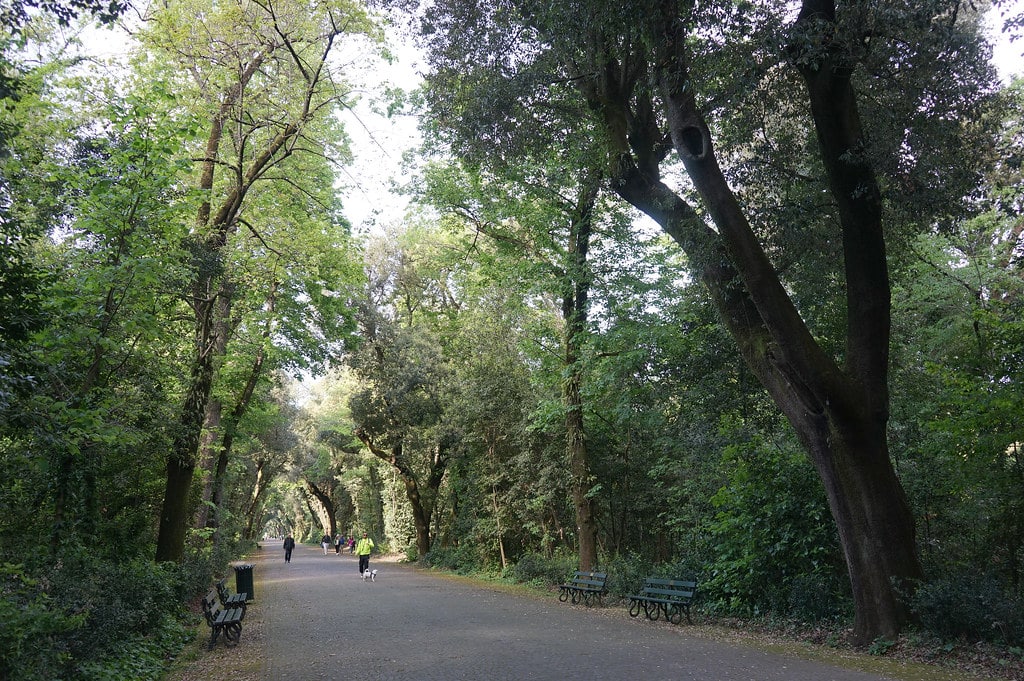 Allée dans le parc de Capodimonte à Naples.