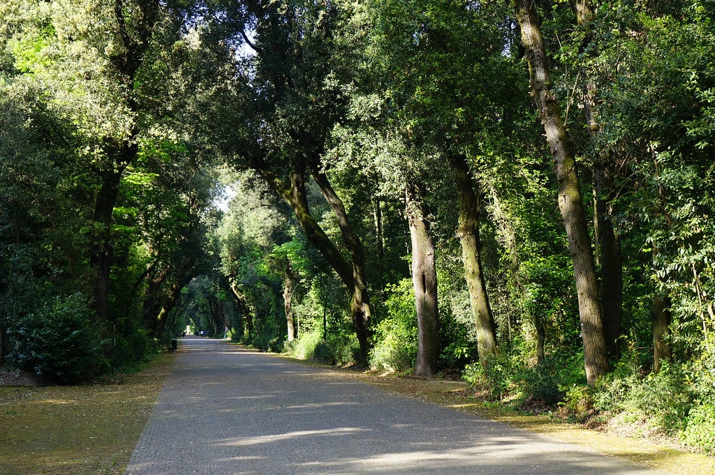 Allée boisée dans le parc de Capodimonte à Naples.