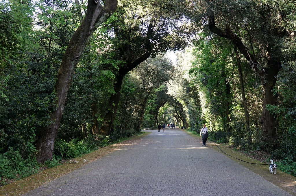 Allée dans le parc de Capodimonte à Naples.