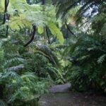Jardin botanique de Naples : Superbe et gratuit [San Carlo all&rsquo;Arena]