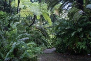 Jardin botanique de Naples : Superbe et gratuit [San Carlo all&rsquo;Arena]