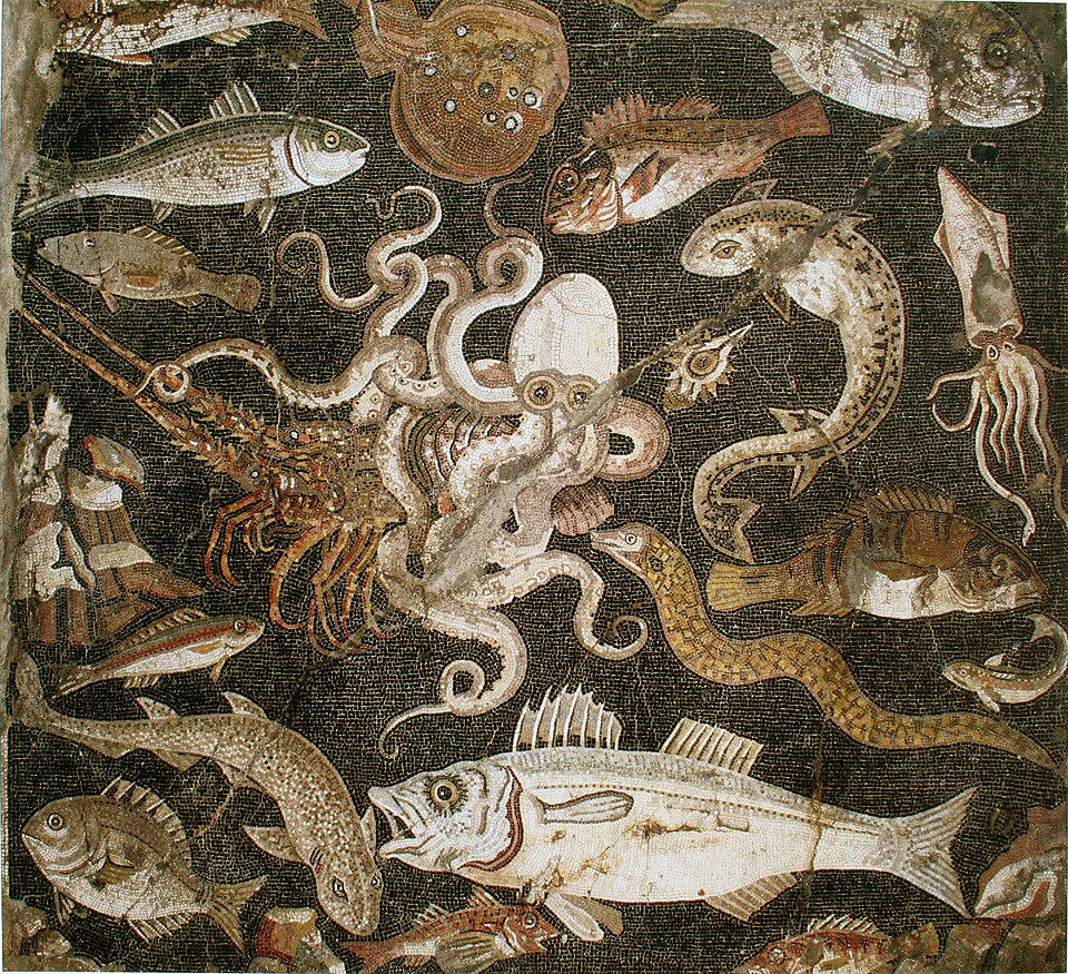 Mosaique de la vie marine trouvée à Pompéi. Photo de Yann Forget.