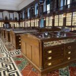 Insolites ! Musées universitaires à Naples : Minéralogie, zoologie, ethnologie…