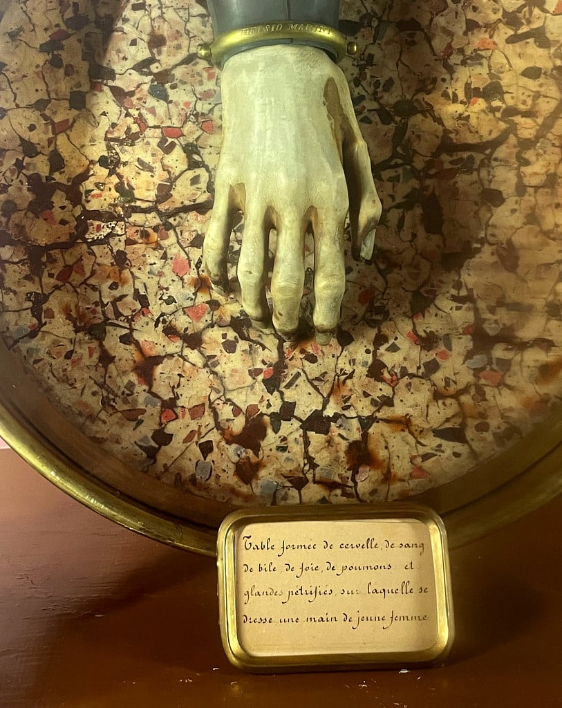 Installation macabre : « Table formée de cervelle, de sang, de bile, de foie, de poumons et glandes pétrifiés sur laquelle se dresse une main de jeune femme »