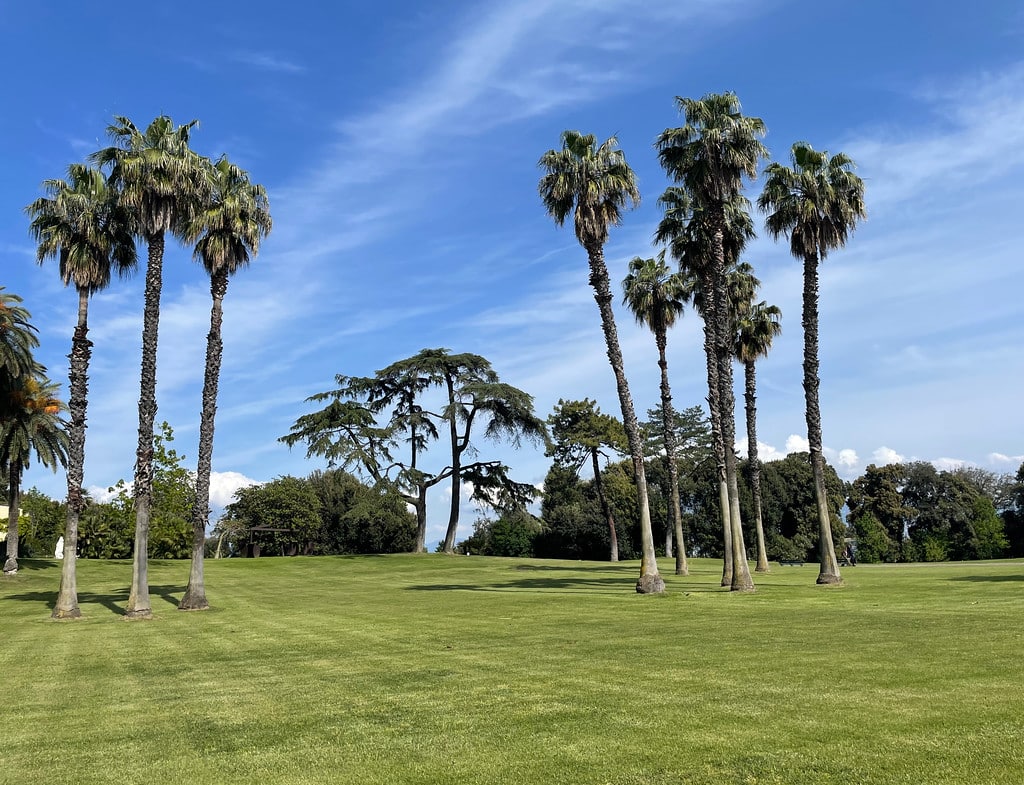 Dans le parc de Capodimonte à Naples.