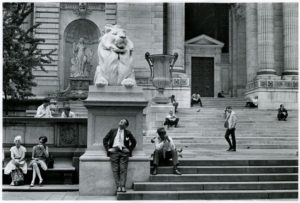 Un des deux lions à l'entrée principale de la NY Public Library - Photo de George Eastman