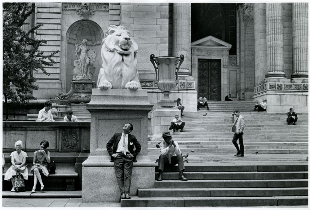 Un des deux lions à l'entrée principale de la NY Public Library - Photo de George Eastman