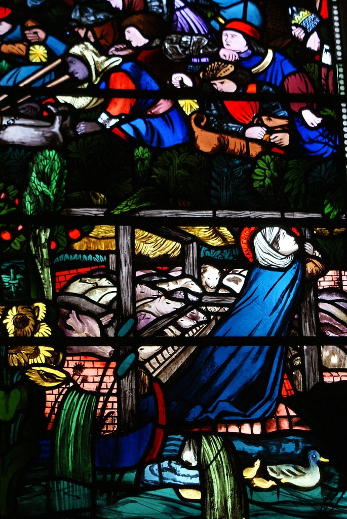 Frithuswith (également Frideswide ou Fréwisse) : Patronne d'Oxford dans la partie basse des vitraux entre les canards et les cochons. Dans la cathédrale de la Christ Church.