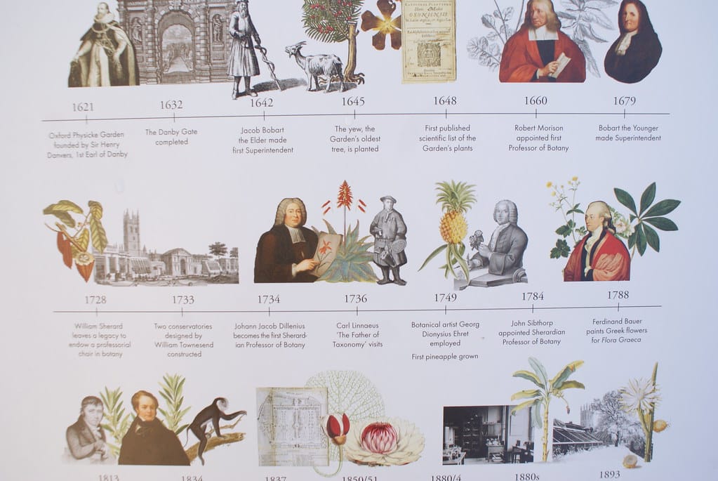 Chronologie du plus ancien jardin botanique en Grande Bretagne.