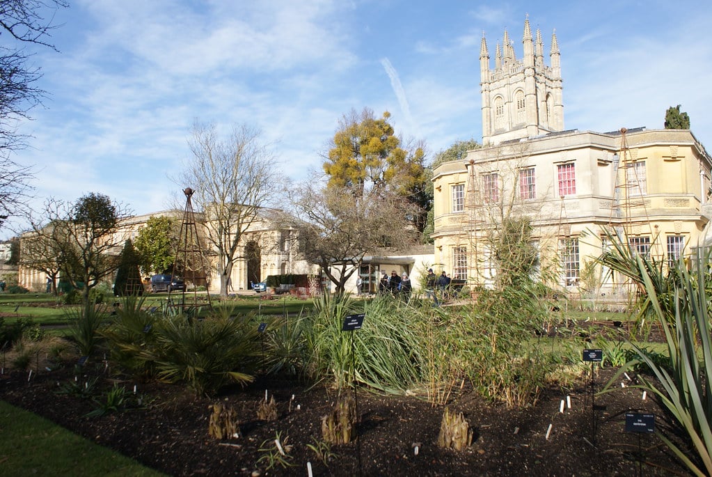 Jardin botanique avec la tour du Magdalen College en arrière plan.