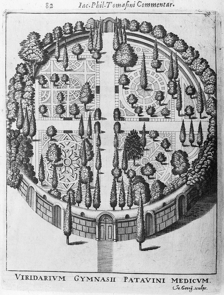 Illustration du jardin botanique de Padoue par Giacomo Filippo Tomasini