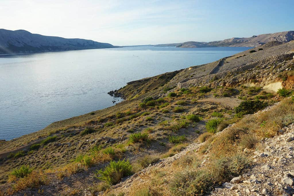 Baie de Pag dans la lumière dorée du couchant.